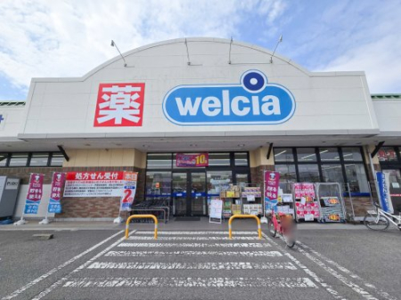 ���ӊ� �y�h���b�O�X�g�A�z�E�G���V�A��ǉF�s�{�z�˓X�܂�1491��