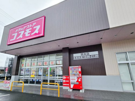 ���ӊ� �y�h���b�O�X�g�A�z�f�B�X�J�E���g�h���b�O�R�X���X���{�X�܂�4446��