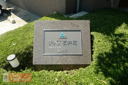 ̑ ̑