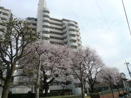 nOώʐ^ nʐ^
