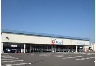 ���ӊ� �y�h���b�O�X�g�A�z�J���`��i ��������̂܂����X�܂�2875��