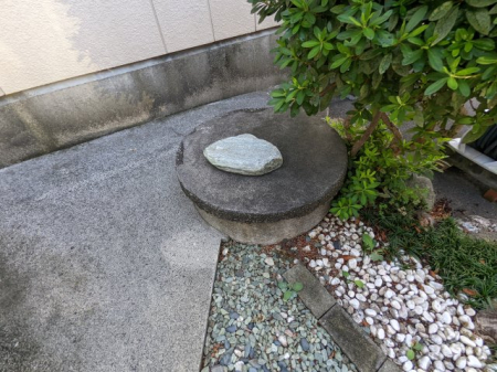 ̑ ̑