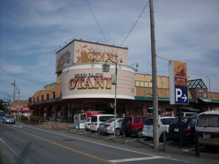 ӊ yX[p[zI[^j ߓcX܂329