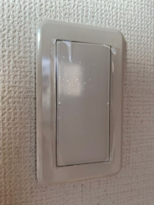 ̑ ChXCb`iʐ^͓dlʐ^j