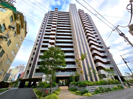 nOώʐ^ sIŃ_ȊOσfUCBFs{w܂œk6ƒʋ΂ɂʊwɂ֗ȗnłB