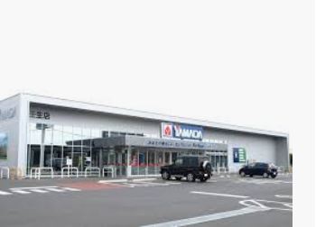 ӊ yƓdiz}_d@ ebNhpX܂9117