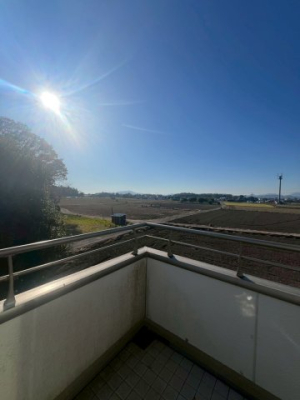 ̑ oRj[̒]łBoRj[ŐЂƎ́A炵̂ƂXpCXłˁ