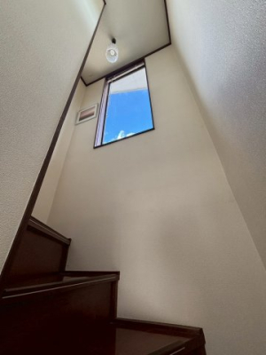 ���̑����� -