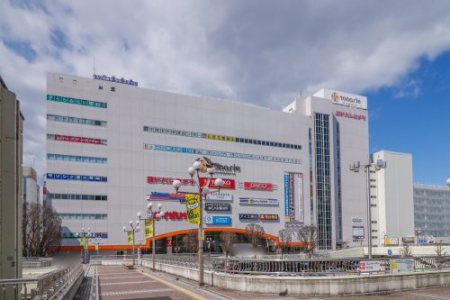 ӊ yVbsOZ^[zgiGFs{܂2595