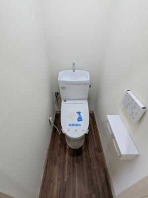 gC g[֍tł̂ŁAŉKɂgp܂I