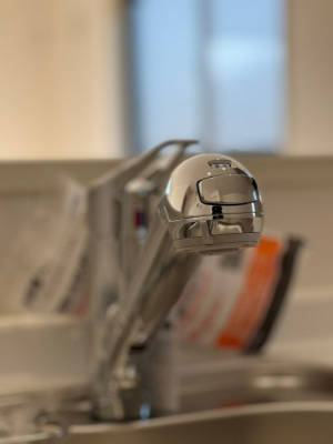 ���̑� �򐅊�t���V�����[�����i�ʐ^�͓��d�l�ʐ^�j