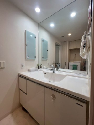 ���ʑ�E���ʏ� �傫�ȋ�������X�^�C���b�V���Ȑ��ʉ��ϑ�B