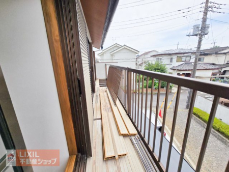 ���̑� ���̑�