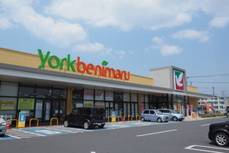 ���ӊ� �y�X�[�p�[�z���[�N�x�j�}�� �ߓc�X�܂�1244��