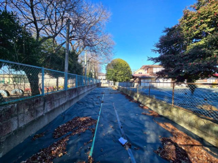 ���n�y�n�ʐ^ -