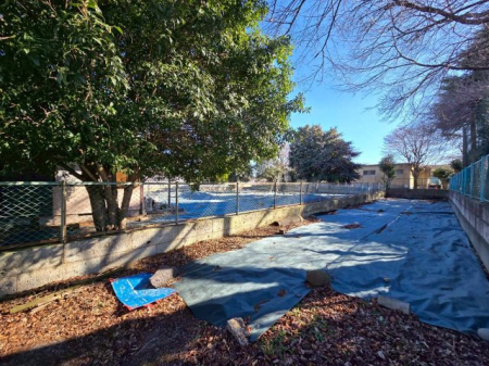 ���n�y�n�ʐ^ -