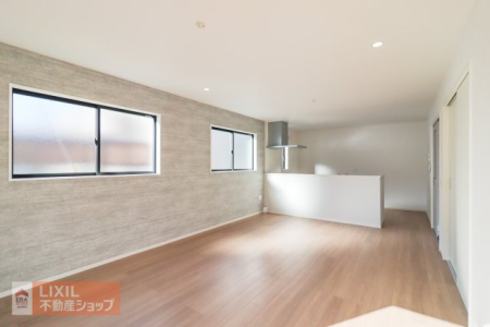  ���n�����ʐ^