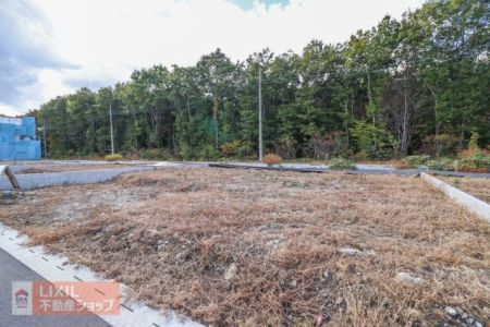 ���n�O�ώʐ^ �y���n�ʐ^�z���z���B