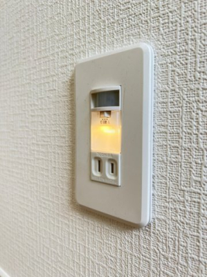 ���̑� �t�b�g���C�g�i�ʐ^�͓��d�l�ʐ^�j