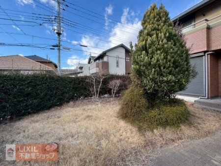 ���̑� ��