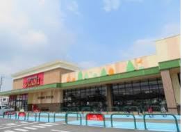 ���ӊ� �y�X�[�p�[�z�t�[�h�I�A�V�X�I�[�^�j������X�܂�2314��