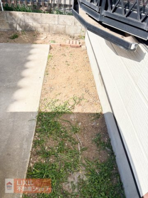 ���̑� ��