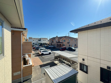 ���̑� �W�]