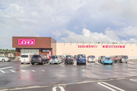 ���ӊ� �y�h���b�O�X�g�A�z�h���b�O�X�g�A�R�X���X �X�F�X�܂�8330��