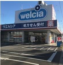 ���ӊ� �y�h���b�O�X�g�A�z�E�F���V�A�@���R�V�_�X�܂�735��