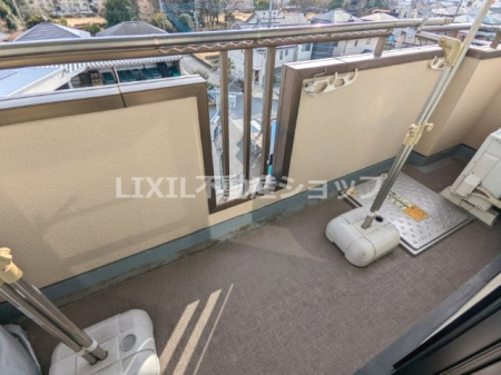 �o���R�j�[ �����̌���������₷���̂Ő��󕨂��������芣�������ł��B