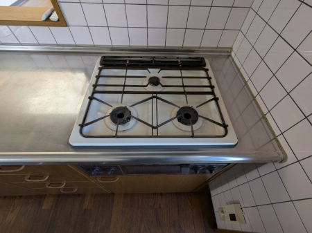 ���̑� ���̑�