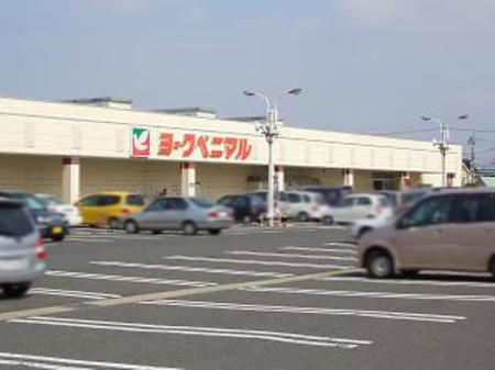 ���ӊ� �y�X�[�p�[�z���[�N�x�j�}�� �ᏼ���X�܂�1848��