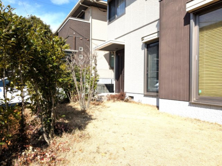 ���̑� ��