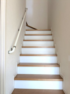 ���̑����� -