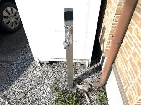 ���̑����� ������