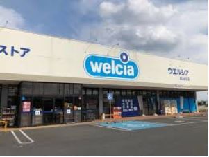 ���ӊ� �y�h���b�O�X�g�A�z�E�G���V�A��ǔ������u�X�܂�464��