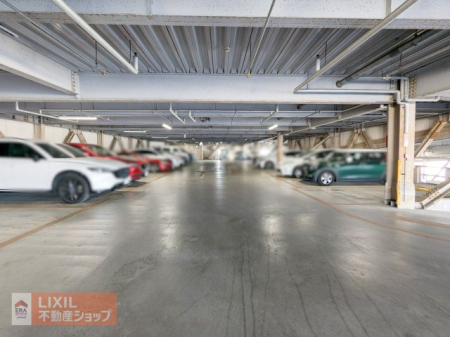 ���ԏ� �h���̓V�G�ł��钼�˓����i���O���j��_���J�A���̕��Q���V���b�g�A�E�g�B��Ԃ̎�Ԃ����炵�A���Ԃ̎��Y���l�𒷂��������ۂ��܂��B