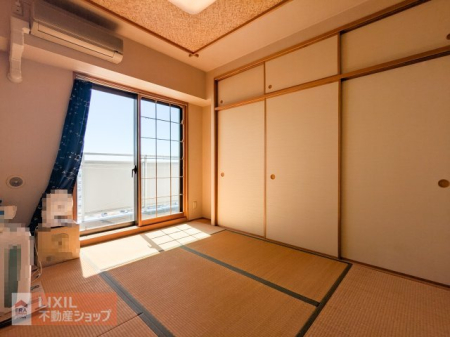 ���̑����� ���q�l�̃v���C���[���Ƃ��Ă͂������A�}�ȗ��q���̏h���X�y�[�X�Ƃ��Ă��d�󂵂܂��B���C�t�X�e�[�W�ɍ��킹�Ďp��ς���A���������ꎺ�ł��B