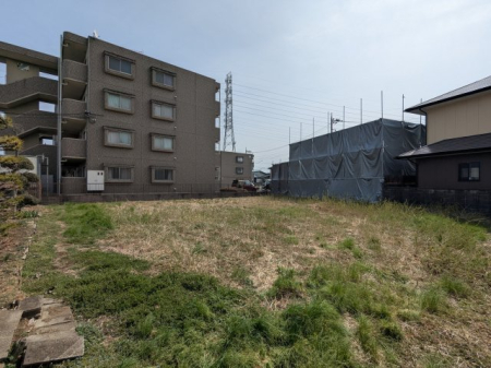 ���n�y�n�ʐ^ -