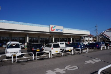 ���ӊ� �y�h���b�O�X�g�A�z�J���`��i ���R���X�܂�1845��