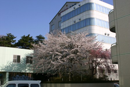 ���ӊ� �y���ȁz�V����a�@�܂�1607��