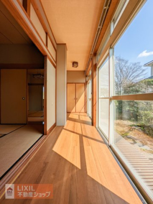 ���̑����� ��𒭂߂邱�Ƃ��ł���f�G�ȉ���������܂��� 