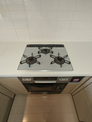 ���̑� ���̑�