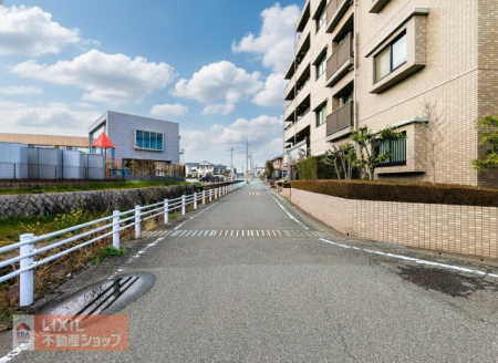 ���̑� �O�ʓ��H���L���A���ʂ��ǍD�ł����ڂ̑O�ɗ���鏬��̂����炬�ɖ�����鎩�R�L���ȏZ���ł��I