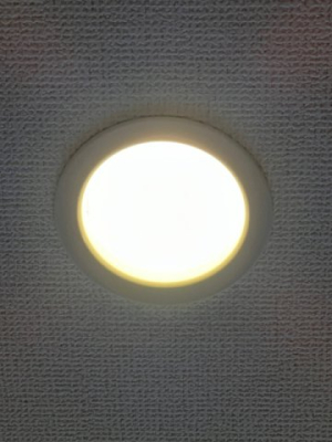 ���̑� LED�Ɩ��i�ʐ^�͓��d�l�ʐ^�j