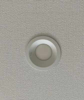 ���̑� �_�E�����C�g�i�ʐ^�͓��d�l�ʐ^�j