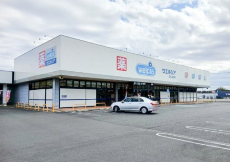 ���ӊ� �y�h���b�O�X�g�A�z�E�G���V�A��ǔ������u�X�܂�875��