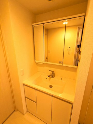 ���ʑ�E���ʏ� �O�ʋ��̌��͎��[�ɂȂ��Ă��܂��B�V�����[�^�C�v�̐��ʑ�ł��B