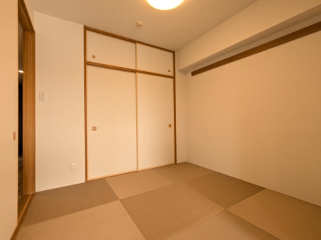 ���̑����� �����`�̏􂪂������ł�