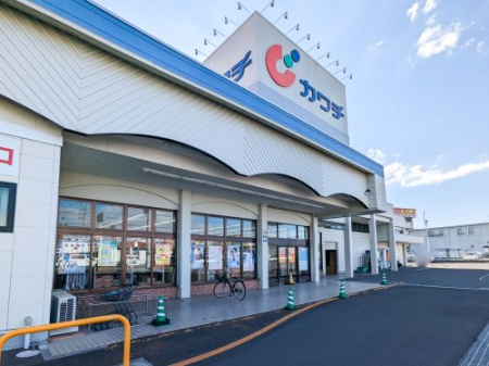 ���ӊ� �y�h���b�O�X�g�A�z�J���`��i �ʐ��X�܂�919��